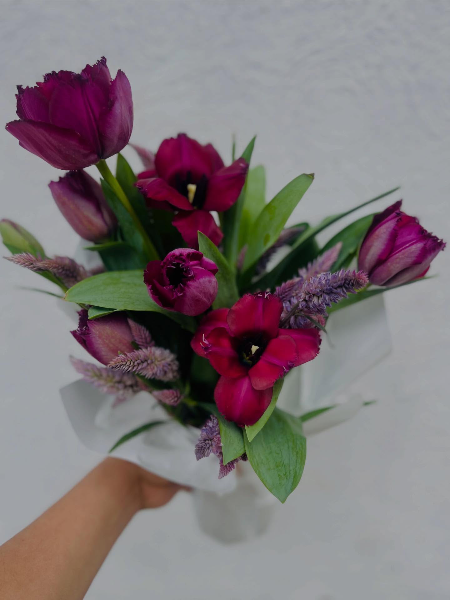 Cómo elegir flores para tu casa según la luz, ventilación y temperatura